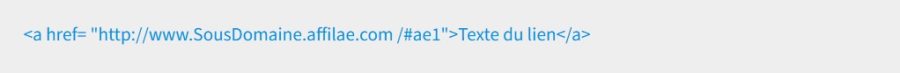 liens texte affiliation